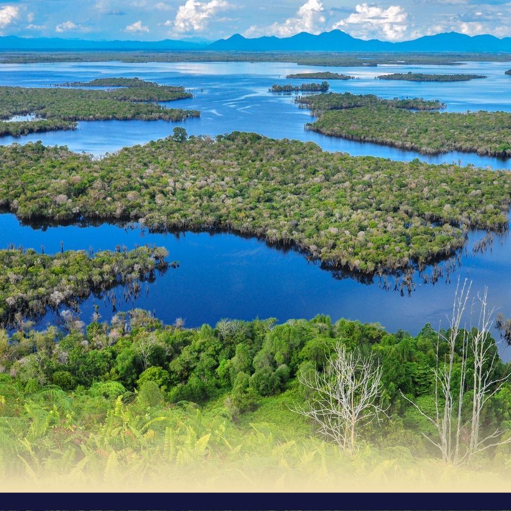 Syurga Flora dan Fauna, Taman Nasional Danau Sentarum Kalimantan Barat 1