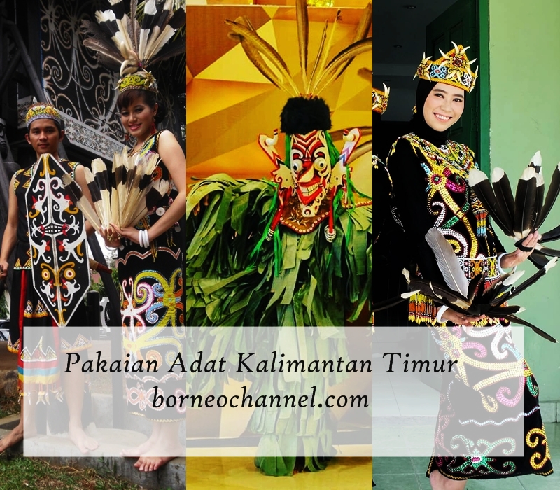 Pakaian Adat Kalimantan Timur & Senjata Adat Lengkap 17