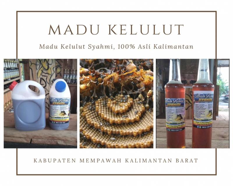 Jual Madu Klaceng & Harga Madu Kelulut Budidaya! 1