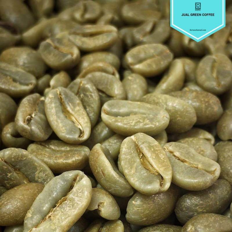 Jual Green Coffee 100% Asli dan Berkualitas Tinggi 1