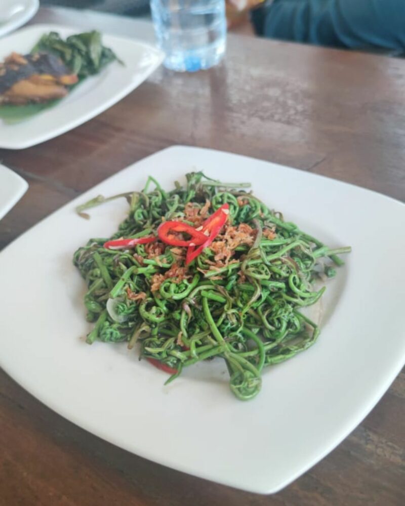 Pengalaman Unik Makan di Tepian Kapuas: Restoran Bebek Sungai Kapuas 3